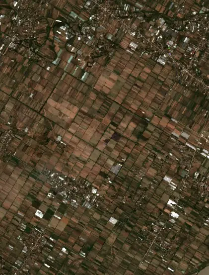 Pas — Krutje (Sentinel-2, 2026-10-02)