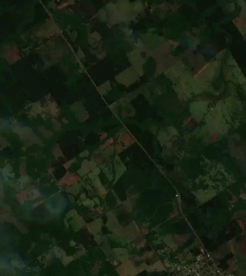 Después — Municipio de Bonpland (Sentinel-2, 2026-10-01)