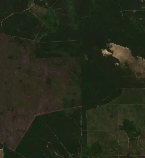 Before — Municipio de San Martín Dos (Sentinel-2, 2026-09-07)