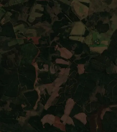 Before —  (Sentinel-2, 2026-07-31)