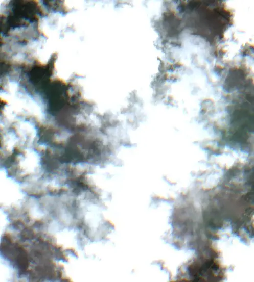 Después — Las Breñas (Sentinel-2, 2026-10-15)