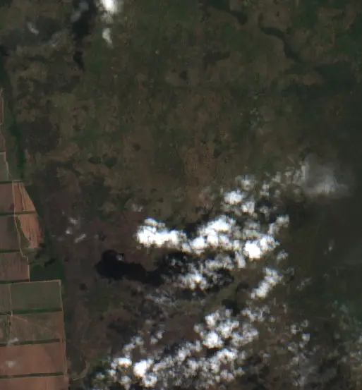 Después — Municipio de General Ballivián (Sentinel-2, 2026-10-08)