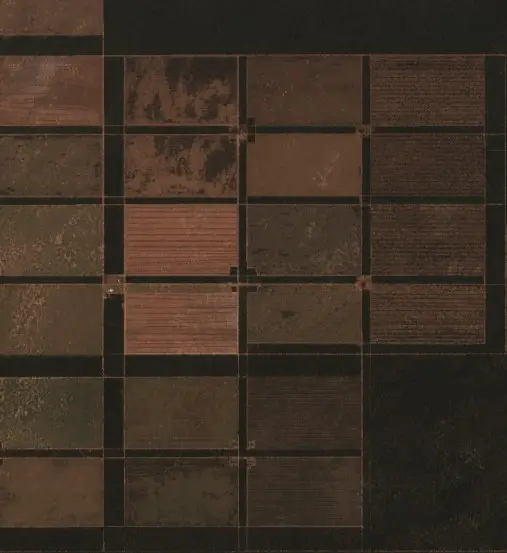 Después — Municipio de Rivadavia Banda Sur (Sentinel-2, 2026-09-08)