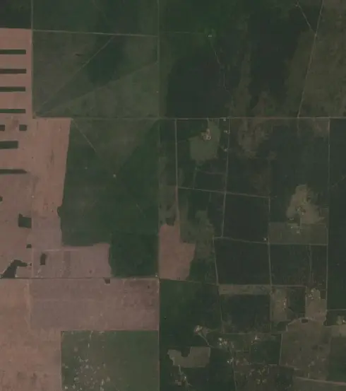 Después — Departamento Juan Felipe Ibarra (Sentinel-2, 2026-10-05)