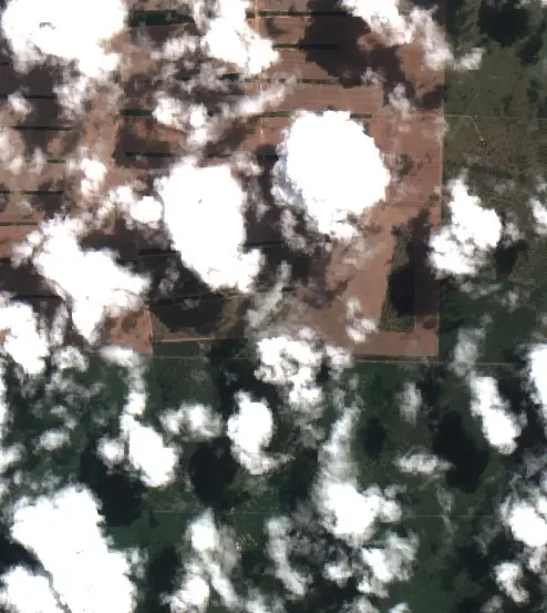 Después — Departamento Moreno (Sentinel-2, 2026-10-05)
