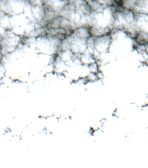 After — Municipio de Fortín Olmos (Sentinel-2, 2026-10-19)