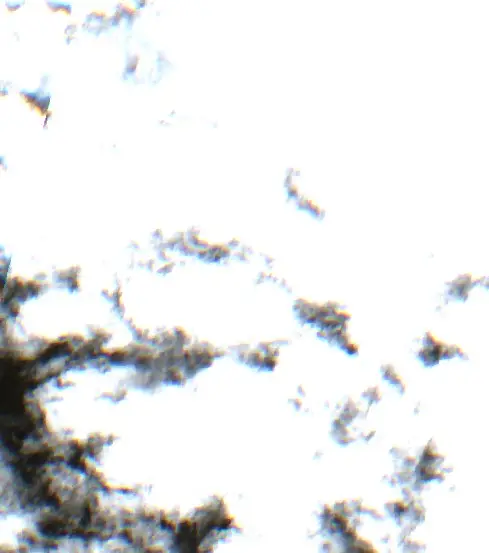 After — Municipio de San Bernardo (Sentinel-2, 2026-09-22)