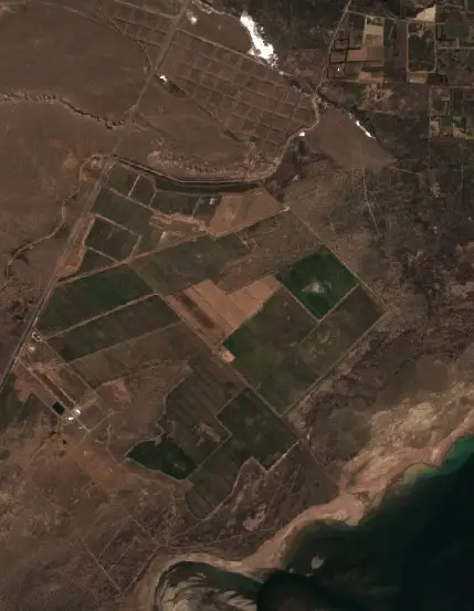 Después — Municipio de Picún Leufú (Sentinel-2, 2026-09-08)