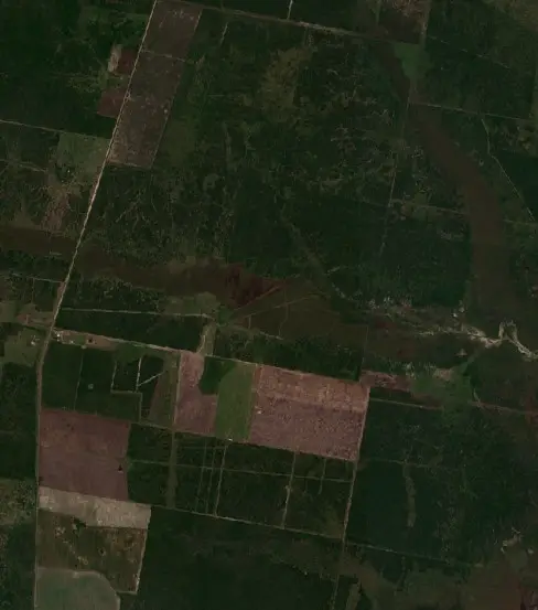 Después — Municipio de Tartagal (Sentinel-2, 2026-10-02)