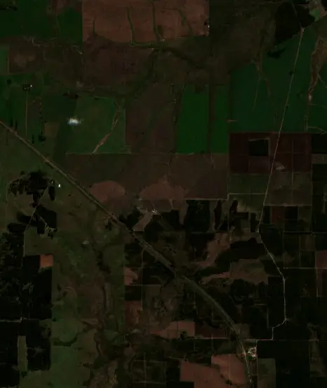 Before — Límite de Ejido de Municipio de Gualeguaychú (Sentinel-2, 2026-08-07)