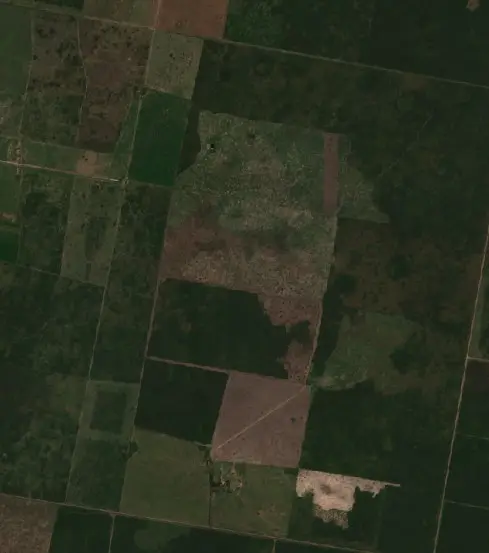 Before —  (Sentinel-2, 2026-09-09)