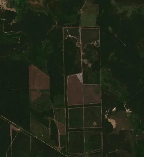 After —  (Sentinel-2, 2026-09-07)