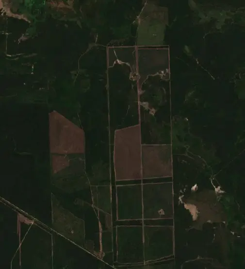 Before —  (Sentinel-2, 2026-09-02)