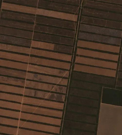 After —  (Sentinel-2, 2026-10-03)