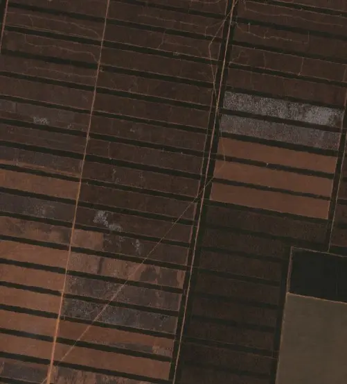 Before —  (Sentinel-2, 2026-09-08)