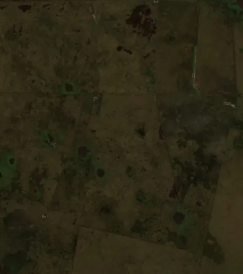 Before —  (Sentinel-2, 2026-07-31)
