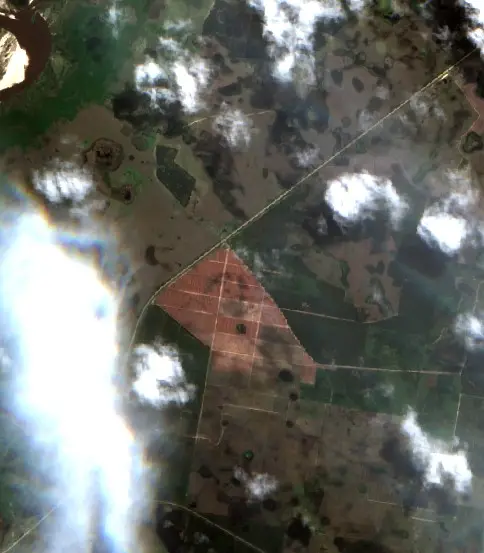 Después — Municipio de Malvinas (Sentinel-2, 2026-10-14)