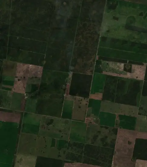 After —  (Sentinel-2, 2026-09-05)