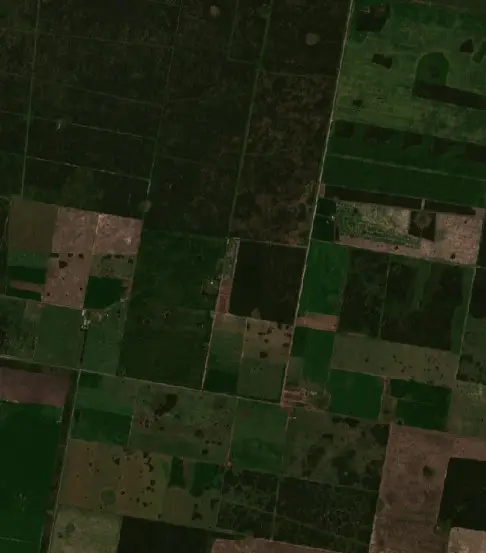 Before —  (Sentinel-2, 2026-09-02)