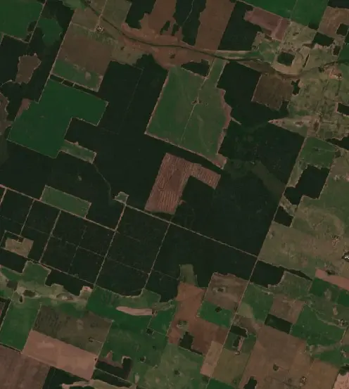 Después — Campo Largo (Sentinel-2, 2026-10-02)