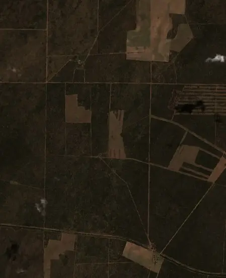 Before —  (Sentinel-2, 2026-08-11)