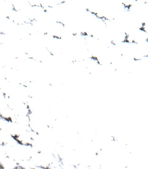 After —  (Sentinel-2, 2026-09-30)