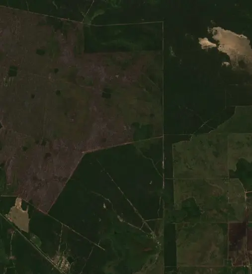 Después — Municipio de San Martín Dos (Sentinel-2, 2026-09-07)