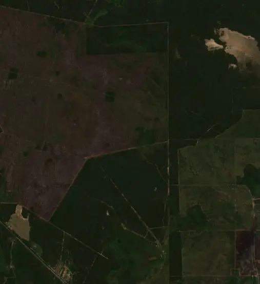 Antes — Municipio de San Martín Dos (Sentinel-2, 2026-09-02)