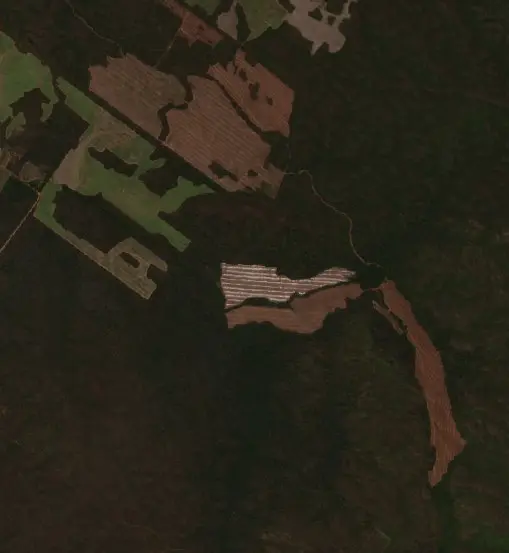 Después — Municipio de Vinalito (Sentinel-2, 2026-09-23)