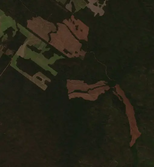 Antes — Municipio de Vinalito (Sentinel-2, 2026-09-15)