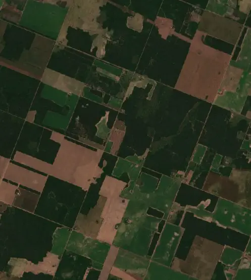 After — Municipio de Presidencia Roque Sáenz peña (Sentinel-2, 2026-10-02)