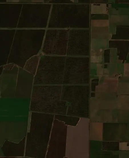 Antes —  (Sentinel-2, 2026-08-01)