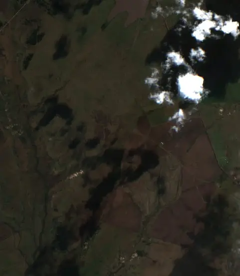 Antes — Municipio de Cazadores Correntinos (Sentinel-2, 2026-07-31)