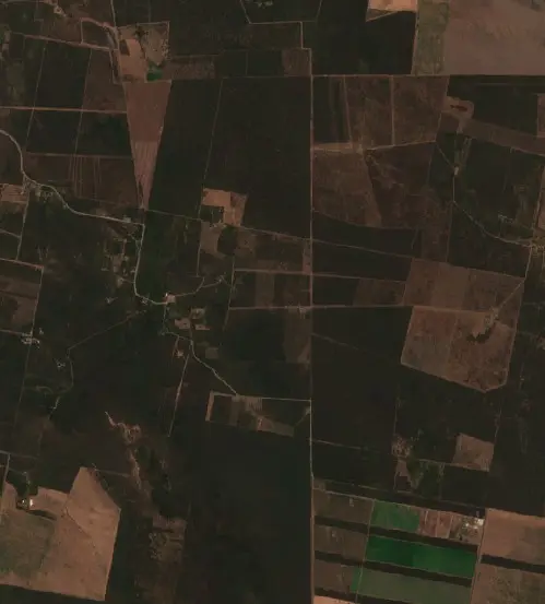 Antes — Departamento Pellegrini (Sentinel-2, 2026-09-08)