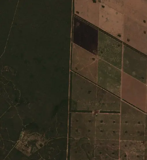 After — Municipio de Ingeniero Juárez (Sentinel-2, 2026-09-20)