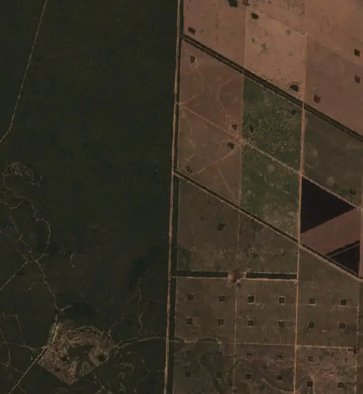 Before — Municipio de Ingeniero Juárez (Sentinel-2, 2026-09-15)
