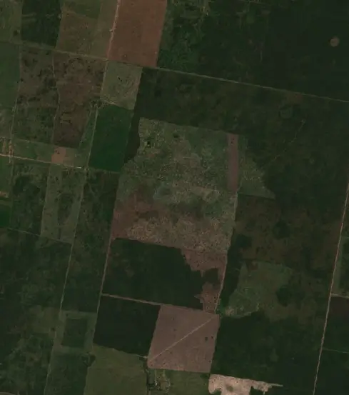 Después —  (Sentinel-2, 2026-09-09)
