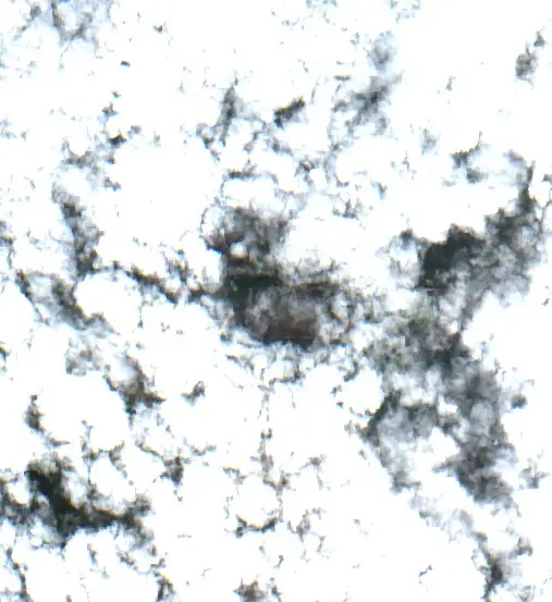 Después — Municipio de Las Lomitas (Sentinel-2, 2026-09-10)