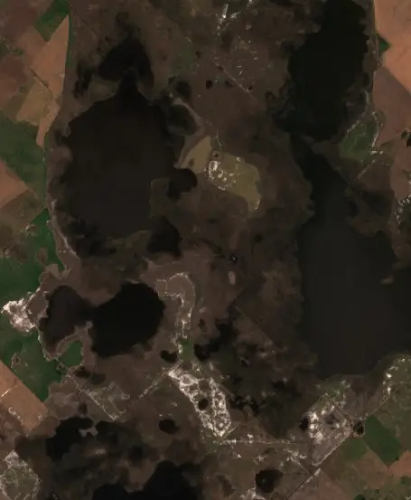 Before — Partido de Carlos Tejedor (Sentinel-2, 2026-09-17)
