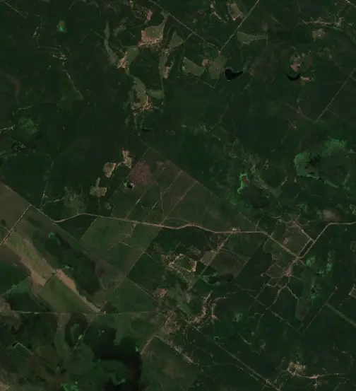 Después — Municipio de Ibarreta (Sentinel-2, 2026-10-02)