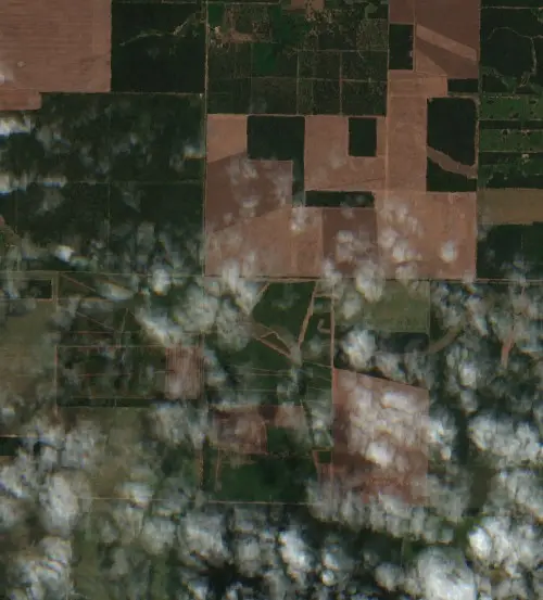 Después — Municipio de Juan José Castelli (Sentinel-2, 2026-09-10)