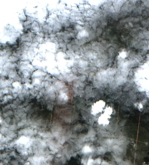 Después — Municipio de El Quebrachal (Sentinel-2, 2026-10-05)