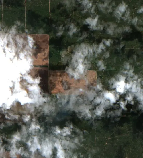 After — Los Frentones (Sentinel-2, 2026-10-20)