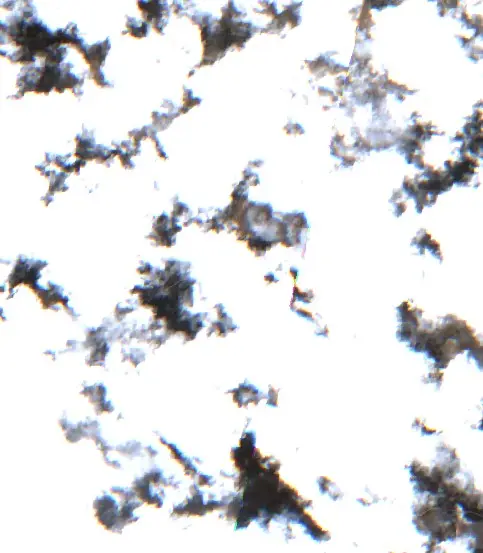 After — Pedanía San Francisco (Sentinel-2, 2026-09-10)