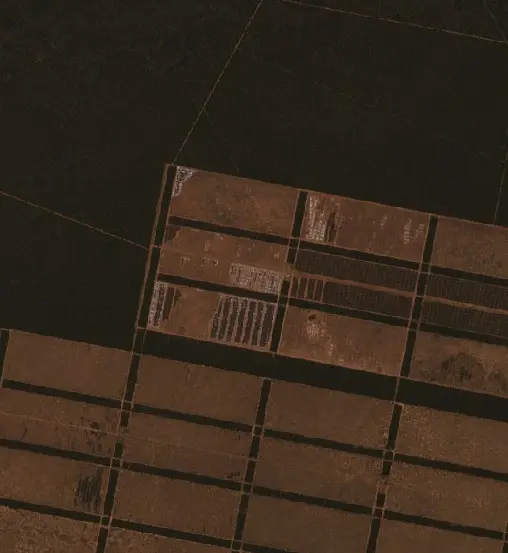 Después —  (Sentinel-2, 2026-09-03)