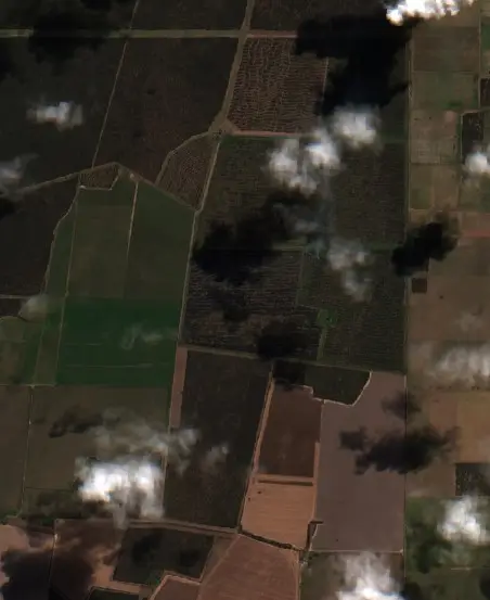 After — Municipio de Caleufú (Sentinel-2, 2026-09-05)