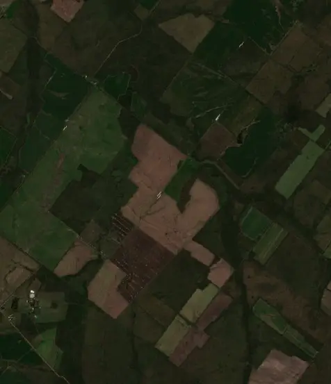After —  (Sentinel-2, 2026-09-04)