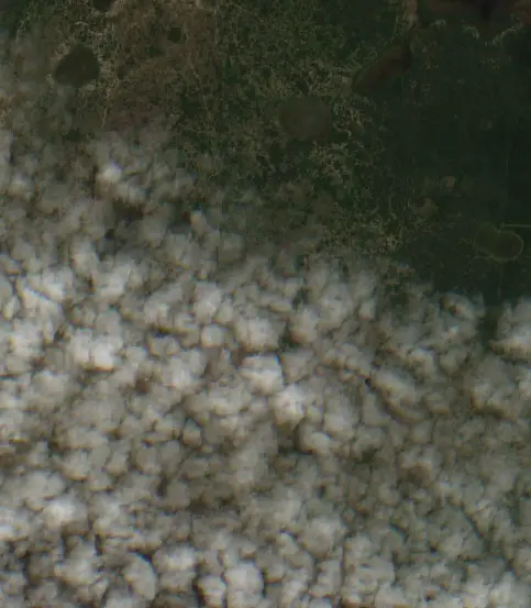 Después — Municipio de Las Avispas (Sentinel-2, 2026-09-10)