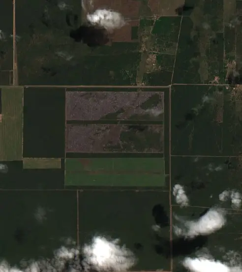 Después —  (Sentinel-2, 2026-10-05)