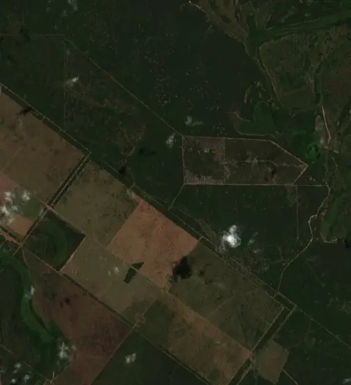 After — Municipio de Estanislao del Campo (Sentinel-2, 2026-09-20)
